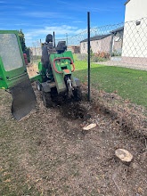 Arboristické práce - 11