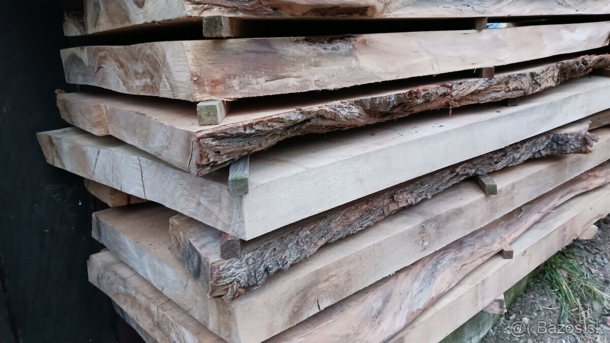 Brestové fosne sušené 6 rokov - 11