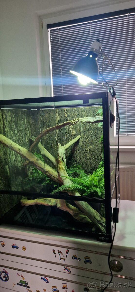 Predám terárium - 11
