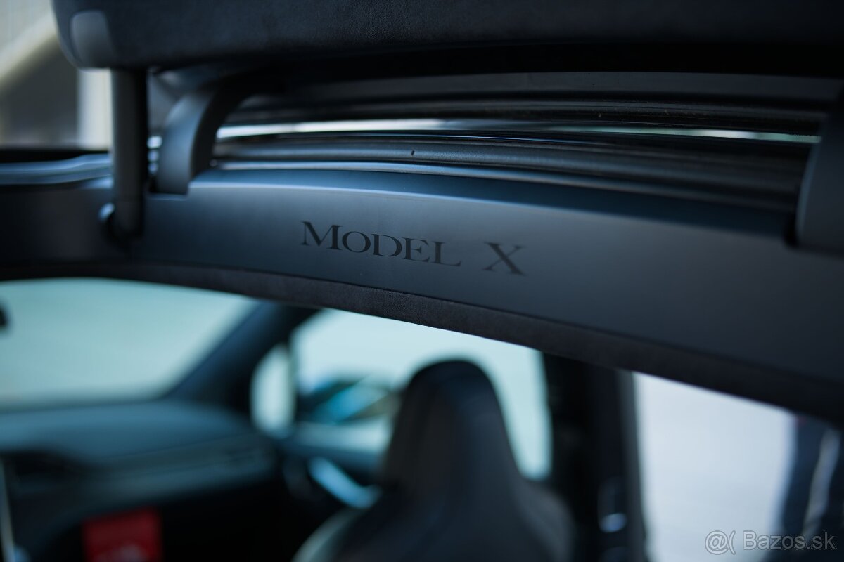 Tesla Model X 100D 2018 - 11