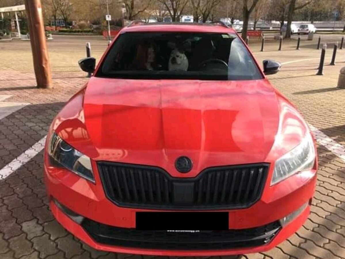 Skoda čierny znak čierne loga emblemy - 11
