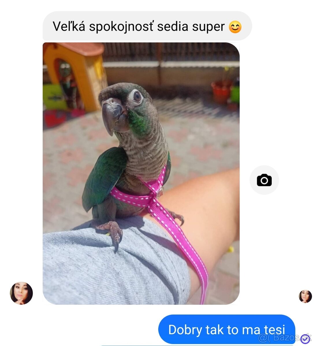 Traky pre papagáje, kšíry, popruhy - 11