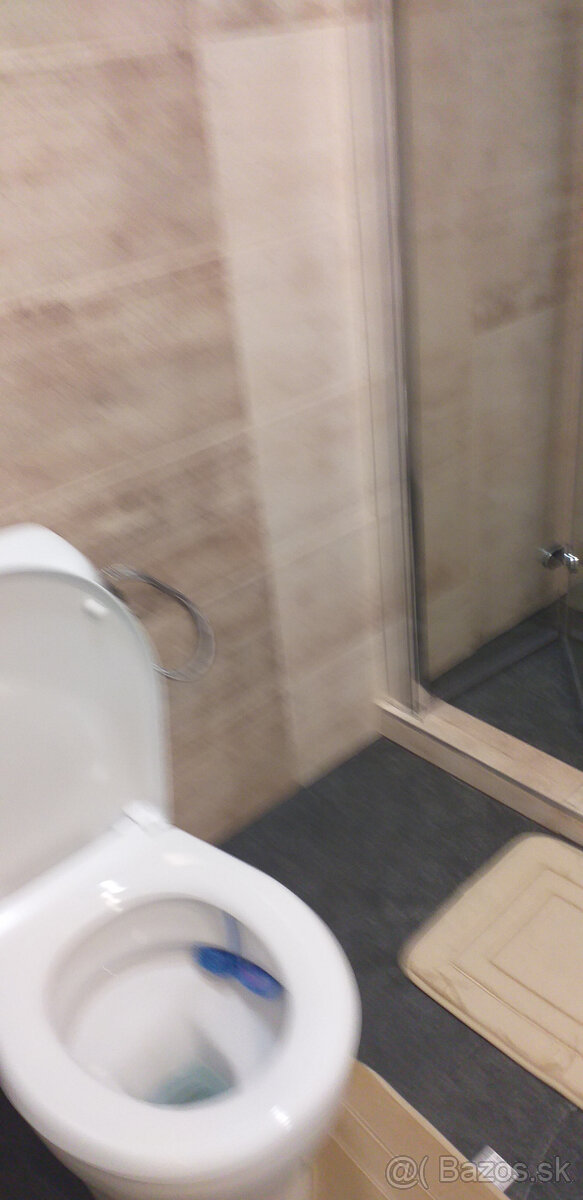 Prenájom bytu v rodinnom dome - 11