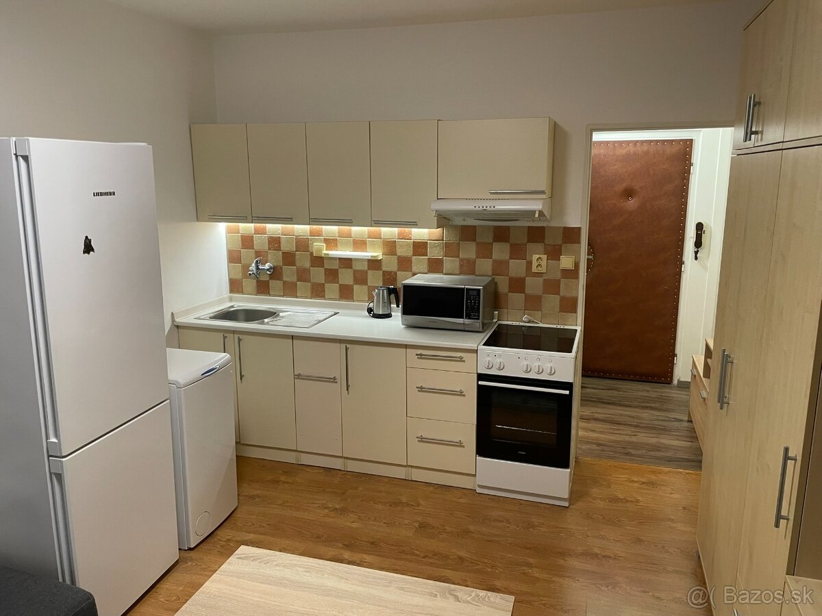 Prenájom GARSONKA / GARZONKA - TOP PONUKA - 11