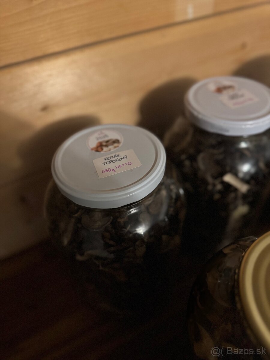 sušené hríby / huby , Suchohríb hnedý a Kozák Topoľový - 11