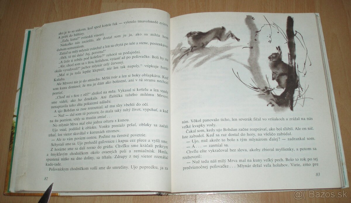 Z poľovníckej kapsy - 11