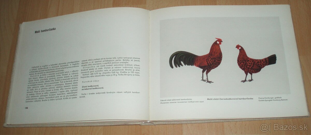 Atlas plemien hydiny - 11