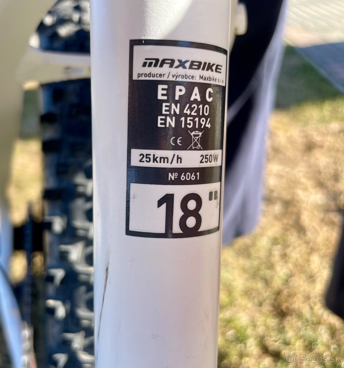 Dámsky elektrobicykel - MAXBIKE - 11