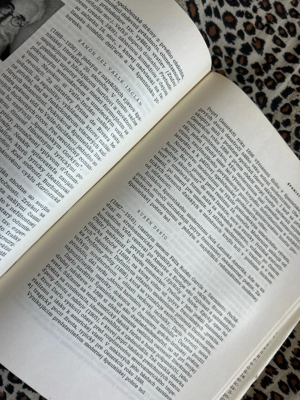 Dejiny svetovej literatúry 1 a 2 - kolektiv autorů - 11