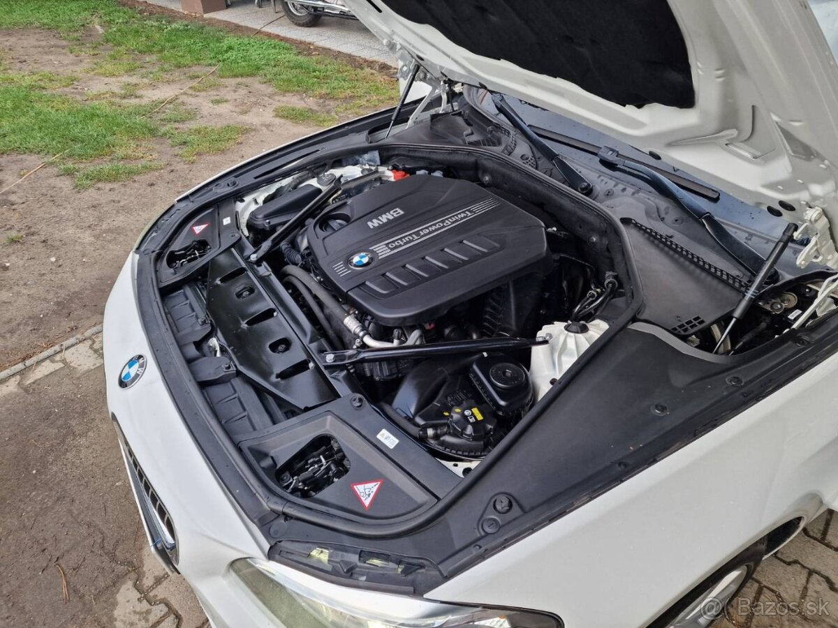 BMW 530d xDrive 260k A/T Luxury (diesel) - 11