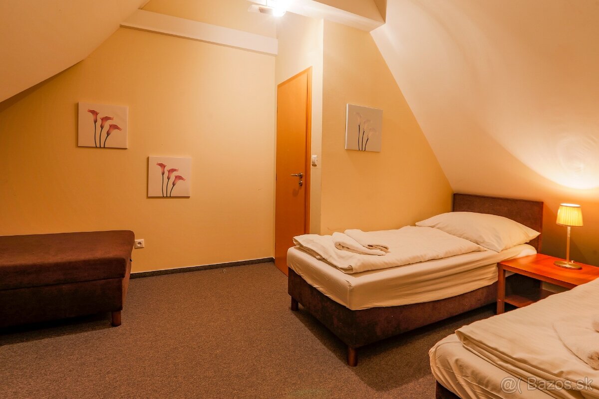 Priestranný mezonetový Apartmán s 3 miestnosťami - 11