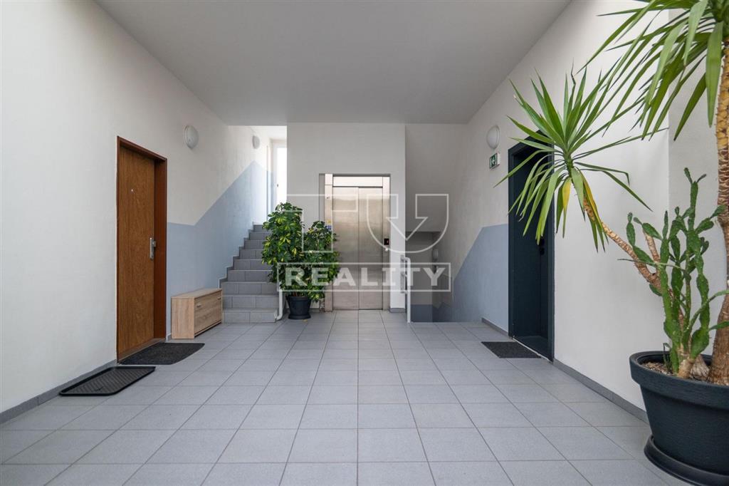 3iz. byt v centre mesta - 11