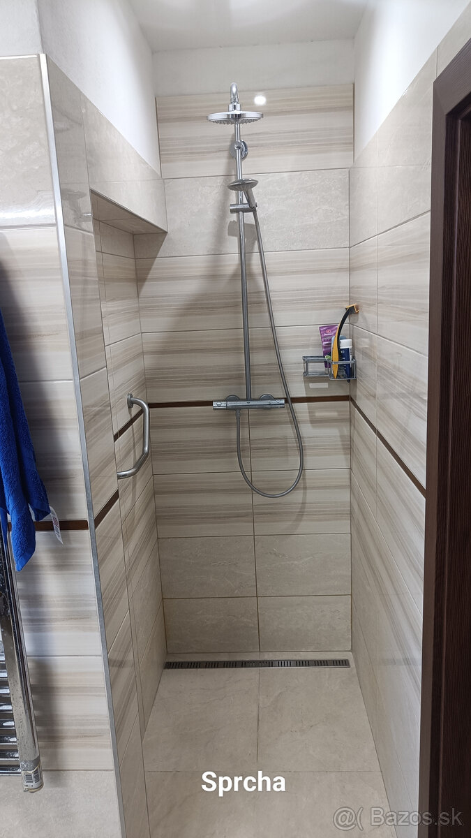 RD v Galante-rod.dôvody. - 11