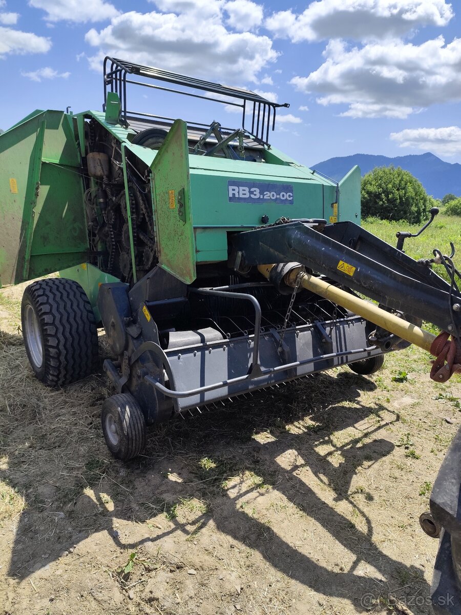 Lis - balikovac - 11