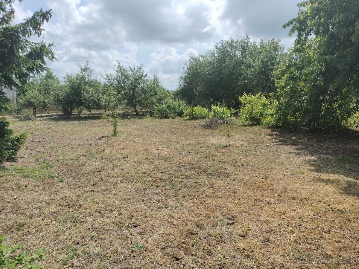 Predaj krásnej rovinatej záhrady s ovocnými stromami. - 11