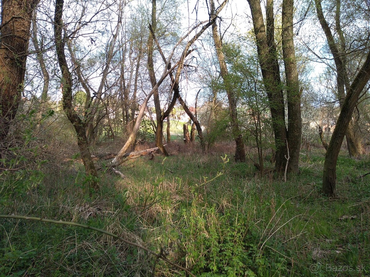 Stavebný pozemok so záhradou a lesom, 2716m2 - 11