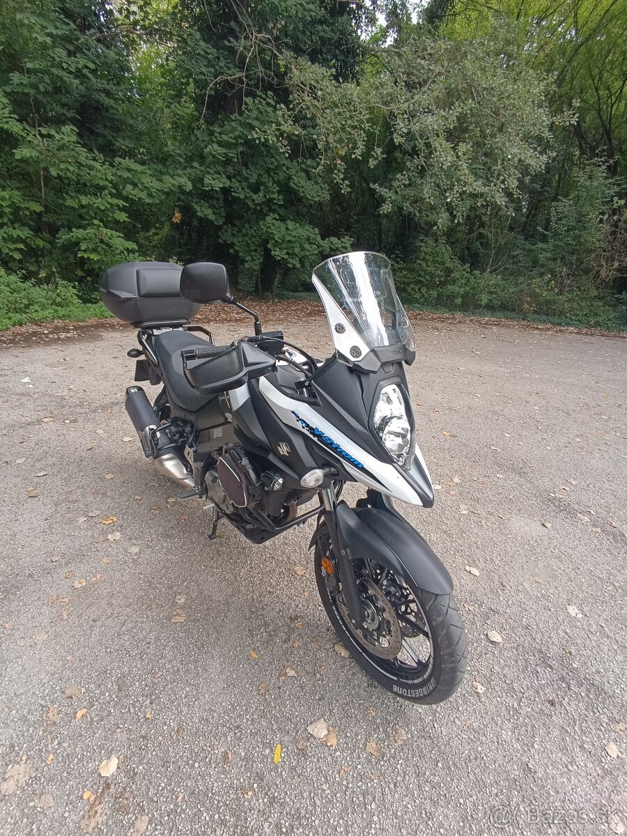 Suzuki v strom - 11