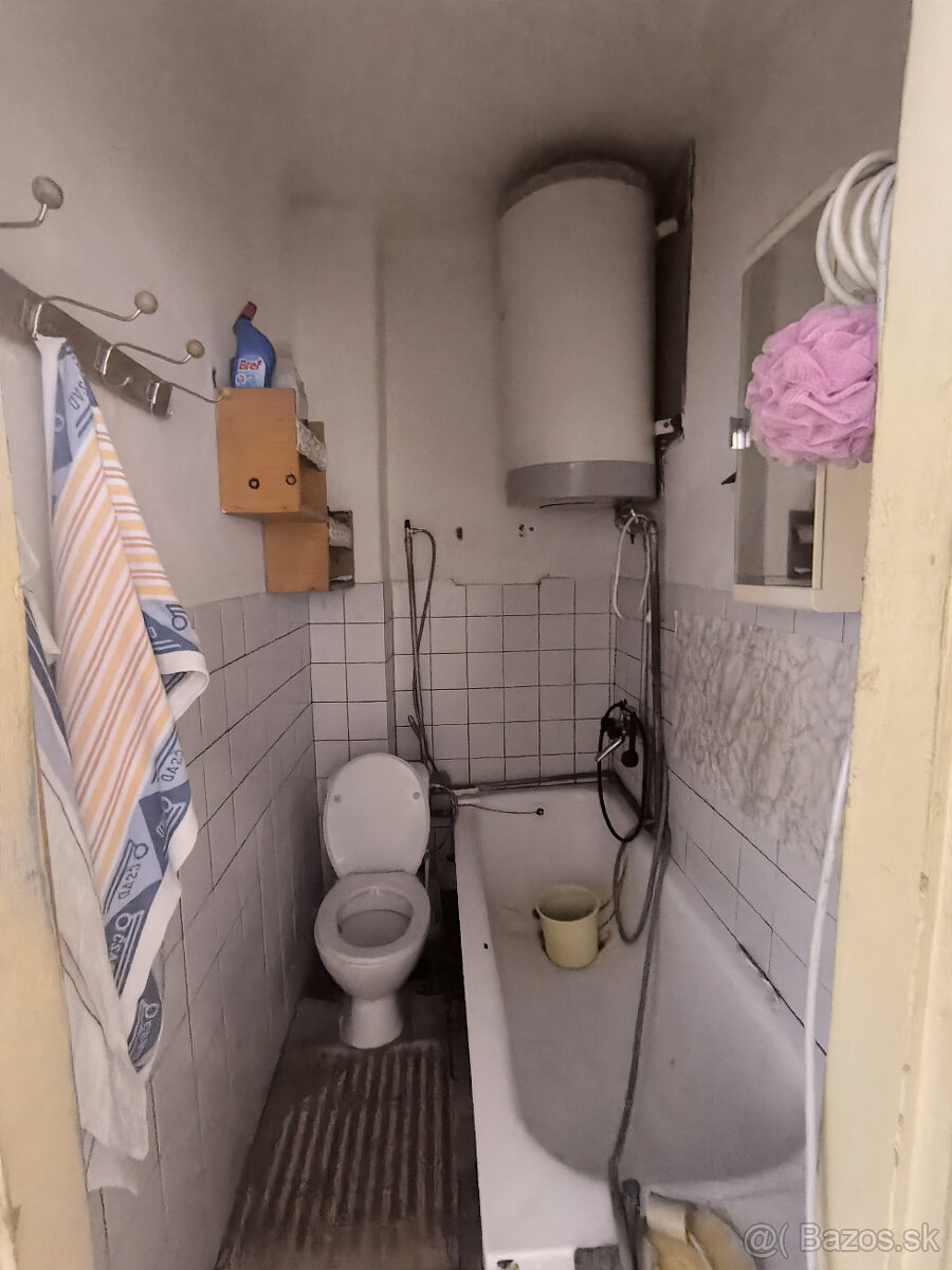 RD VYUŽITEĽNÝ AJ AKO CHALUPA, VHODNÝ NA BÝVANIE PODNIKANIE / - 11