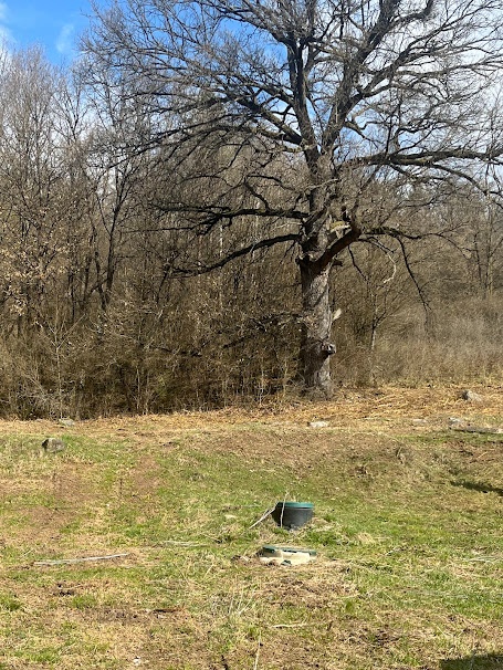 Predaj zrubu s pozemkami na farmársku usadlosť v Zvolenskej - 11