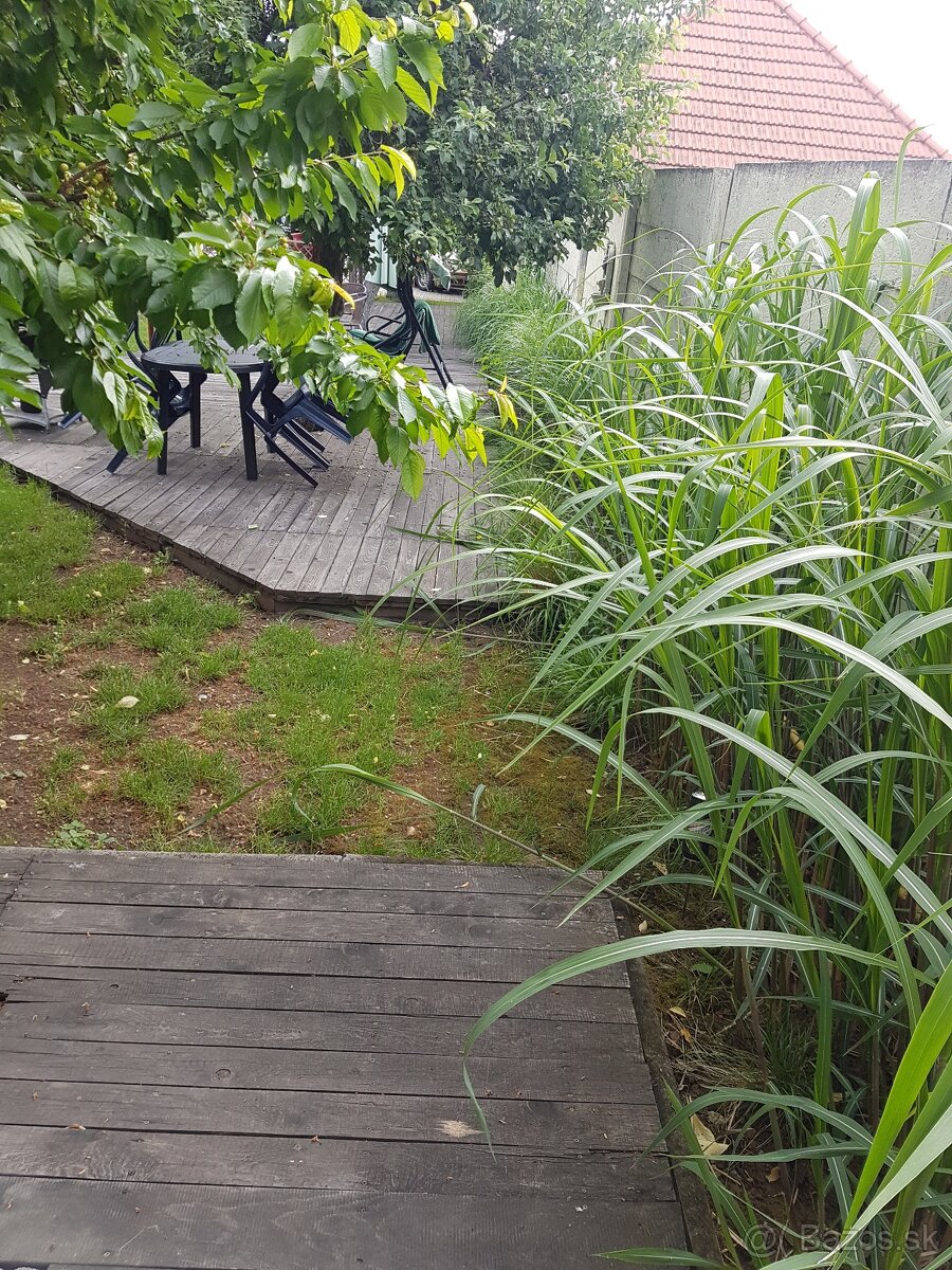 Predám dom v obci Podhájska - 11