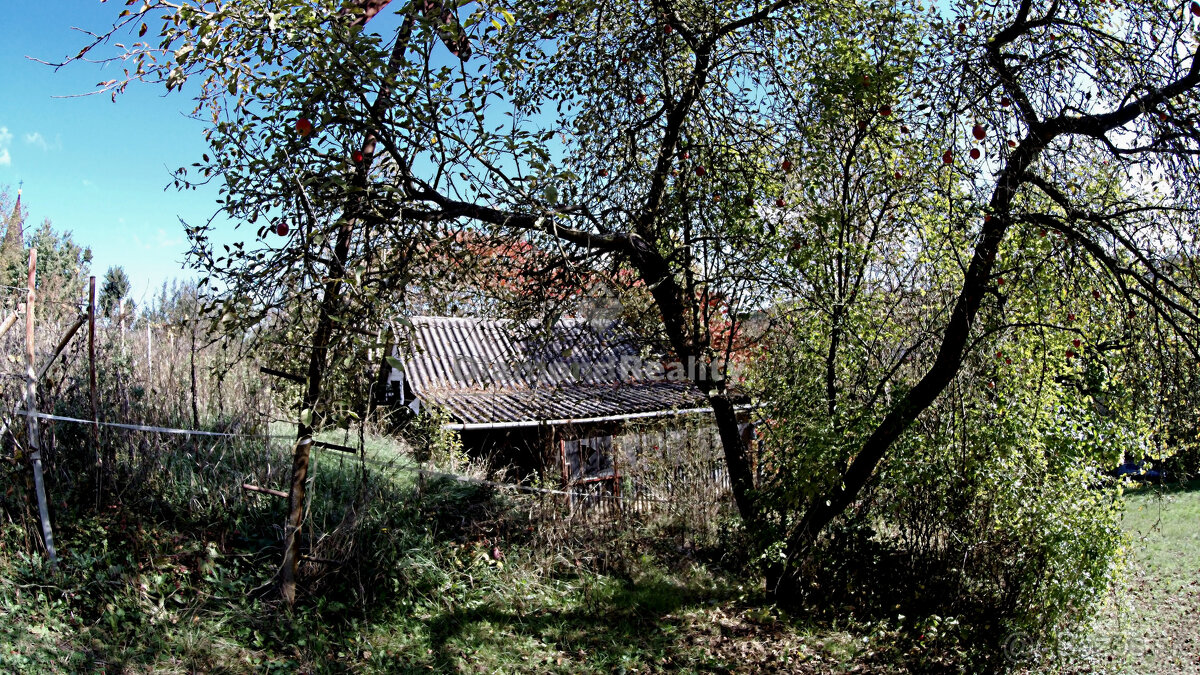 Stavebný, oplotený a slnečný pozemok s vinicou - obec Janík - 11
