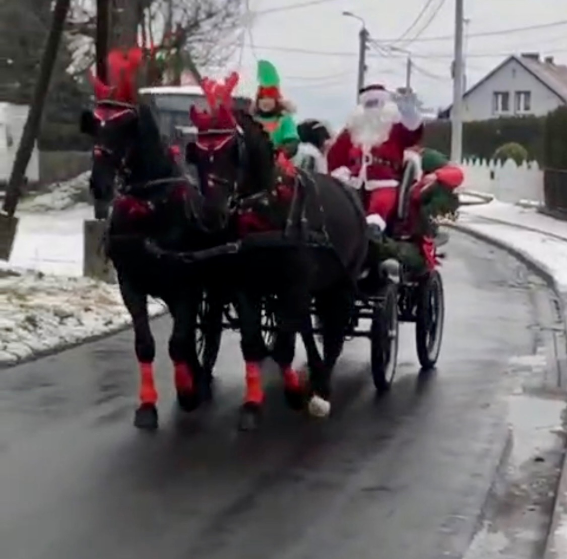 7 ročná kobylka Iwka :) - 11