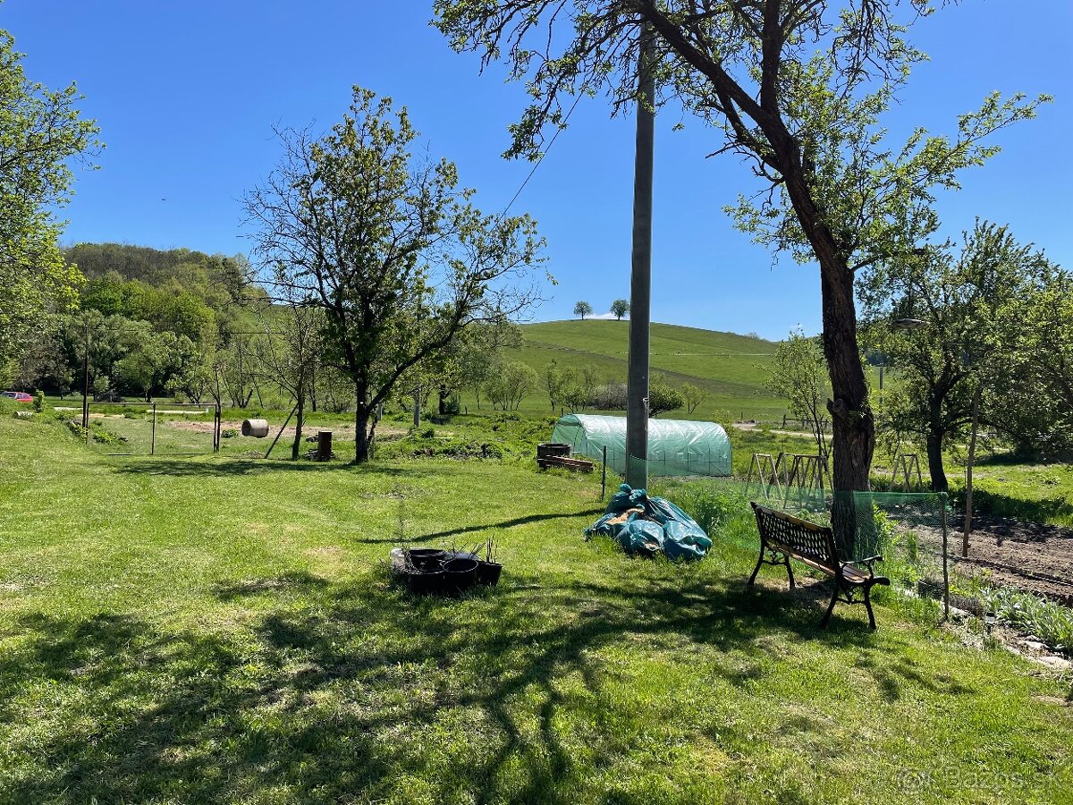 Ustajnenie koní - 11