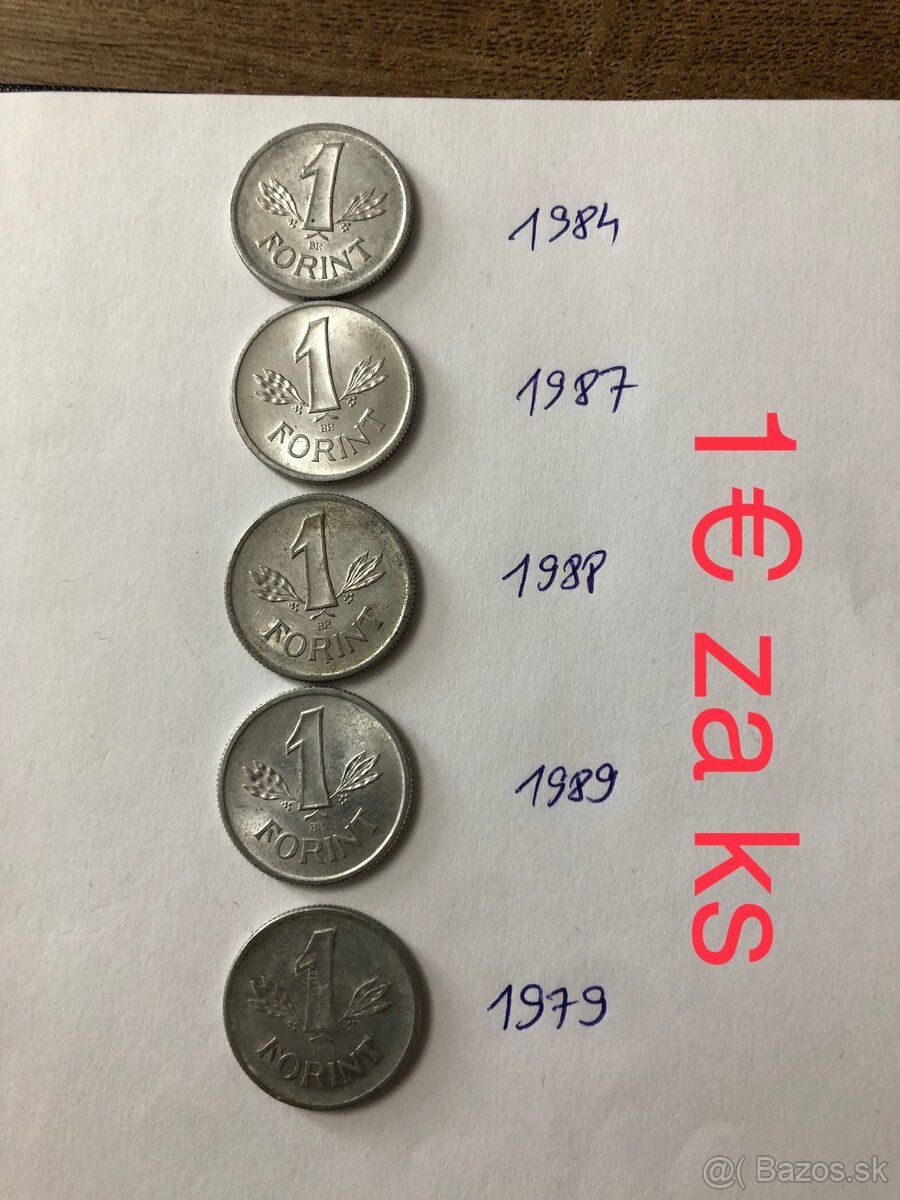 Mince Magyar 4 - 11
