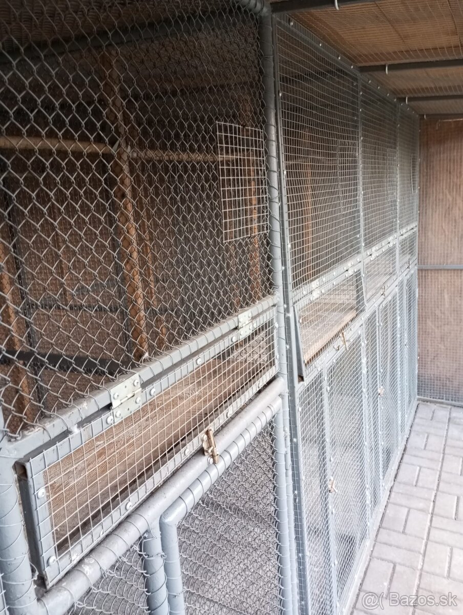 Voliera pre vtaky - 11