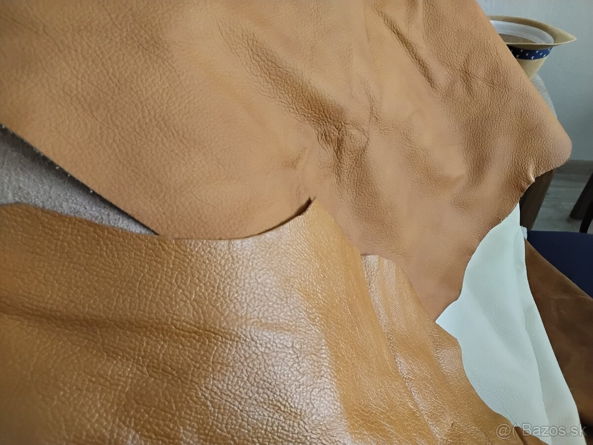 Čalunicka koža - 11