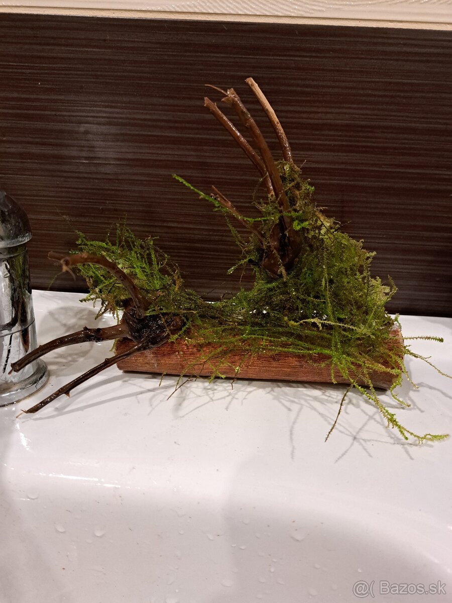 Vybavenie do akvária - 11