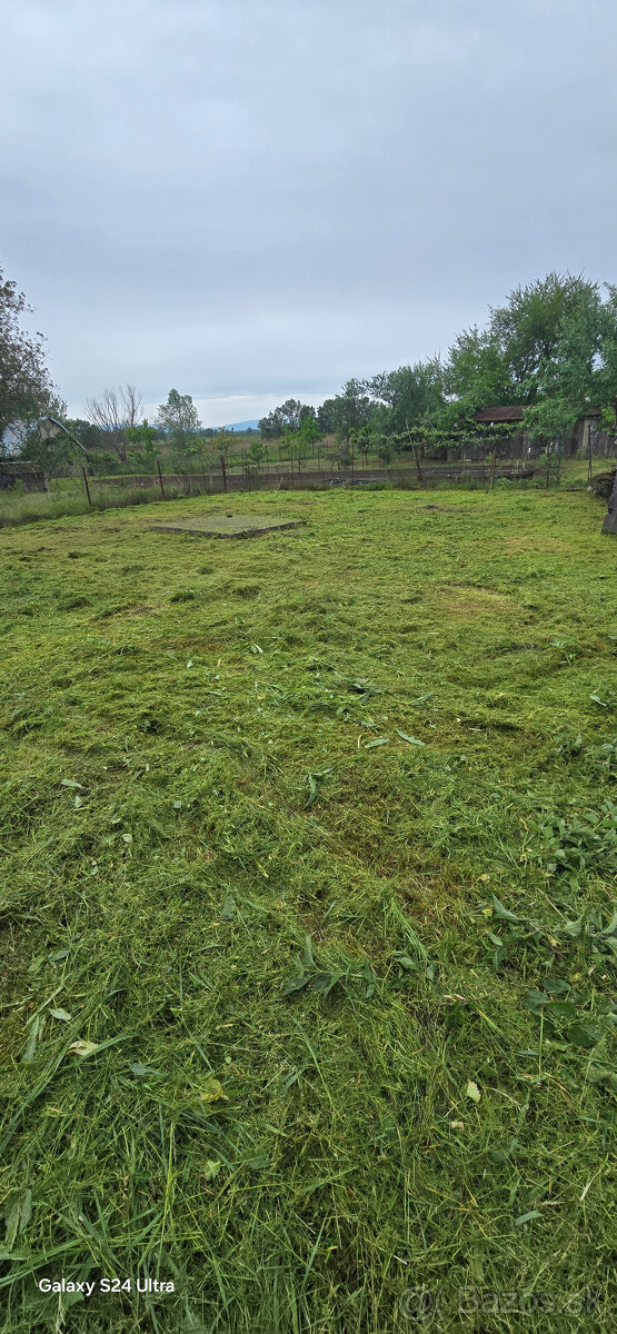 Rizikový výrub a orez stromov - 11