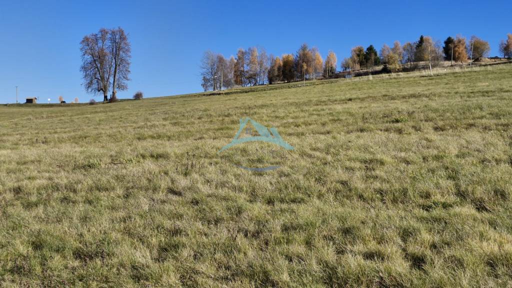 Pozemok (7750m2) s výhľadom na Nízke Tatry v obci Detvianska - 11