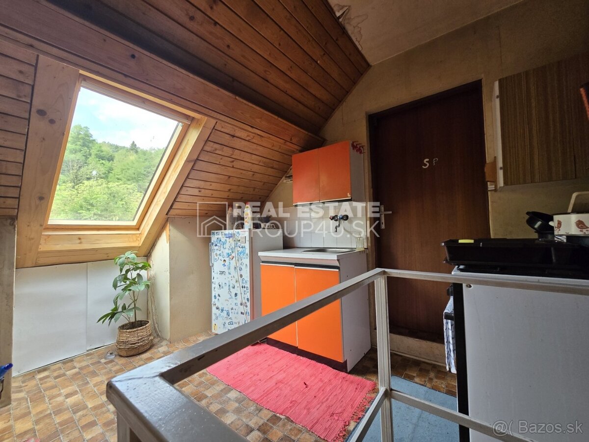 DREVENICA V HORSKOM PROSTREDÍ JAVORNÍKOV - 11