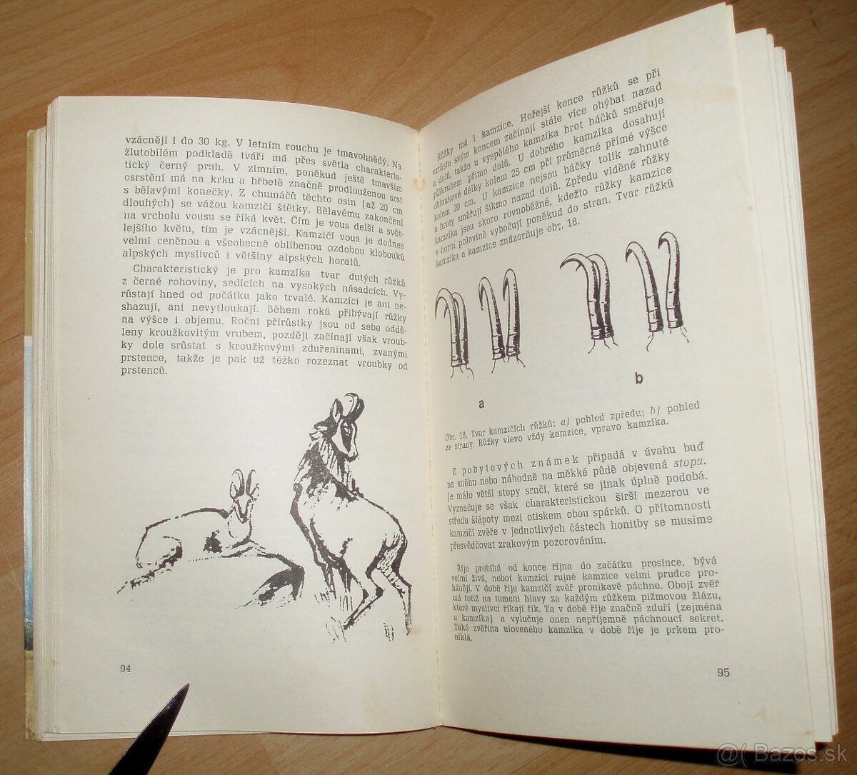 Lovecké praktikum - 11