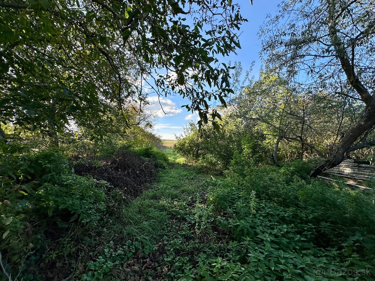 Rodinný dom s veľkým pozemkom v obci Mýtna Nová Ves - 11