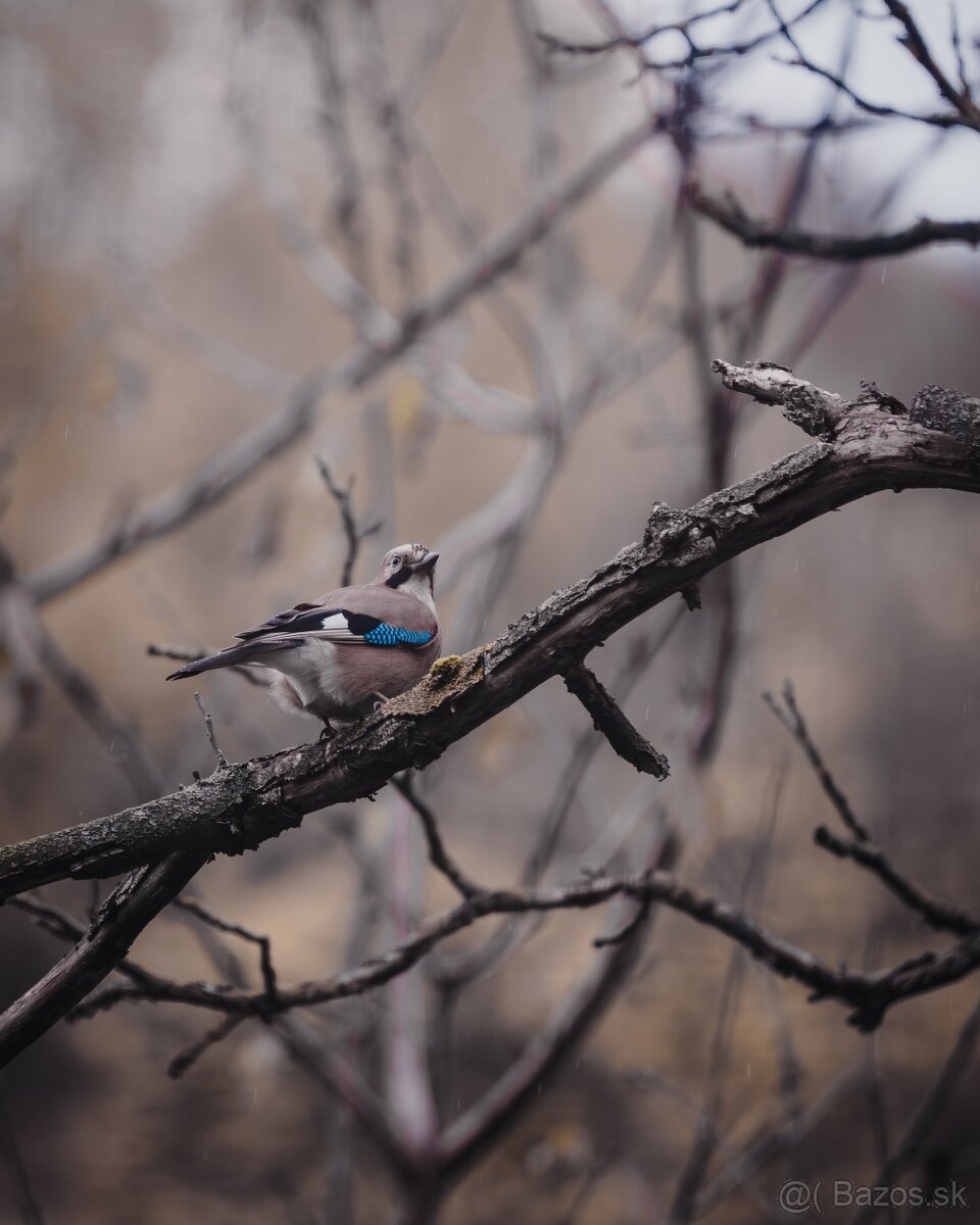 Bezzrkadlovka Canon R6 mark I - 11