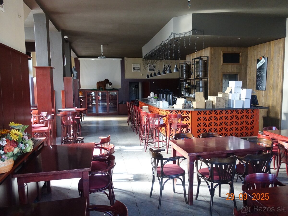 Nebytový priestor č. 2 (Piváreň), T. G. Masaryka 3, Lučenec - 11