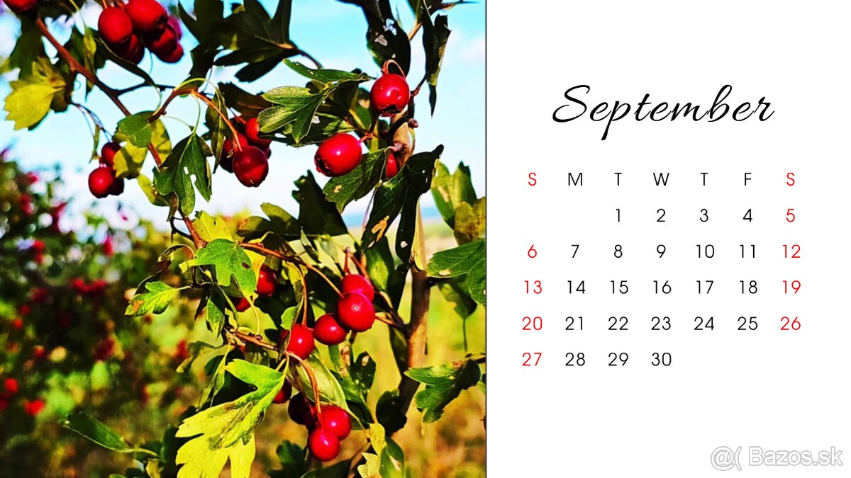 ✨ 4x Kalendár 2026 pre tvoj dokonalý rok Príroda & Akvarel. - 11