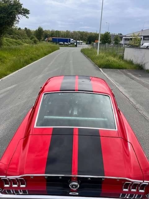 Ford Mustang Fastback 1967 - 11