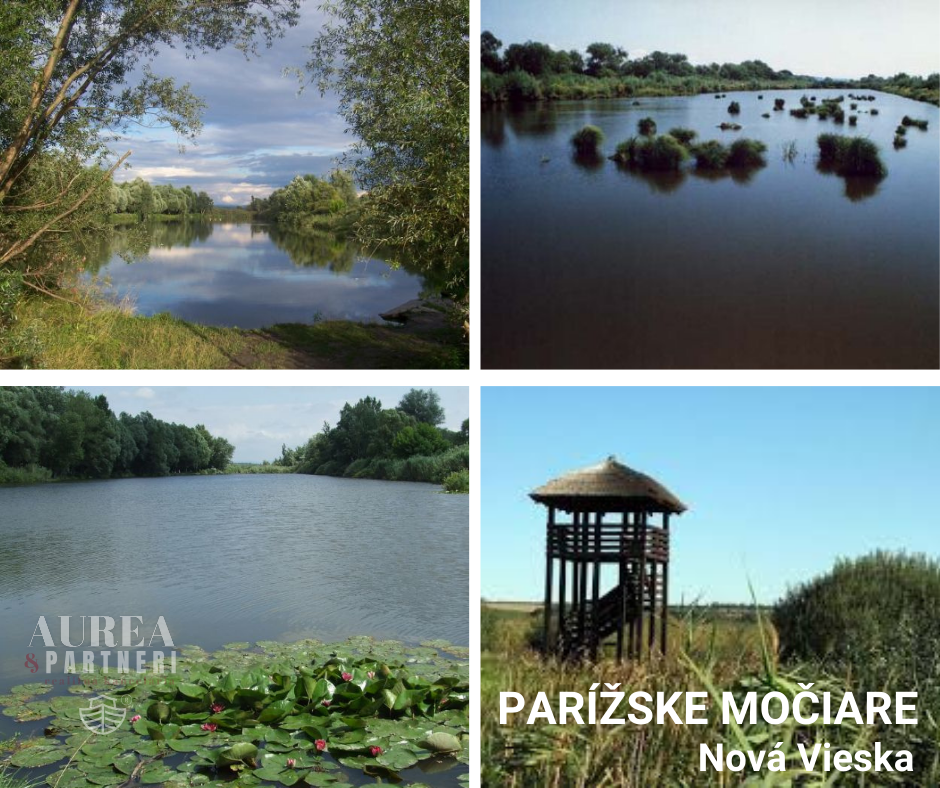 PREDAJ Rovinatý pozemok 734m2 obec Bruty- na skok do Štúrova - 11