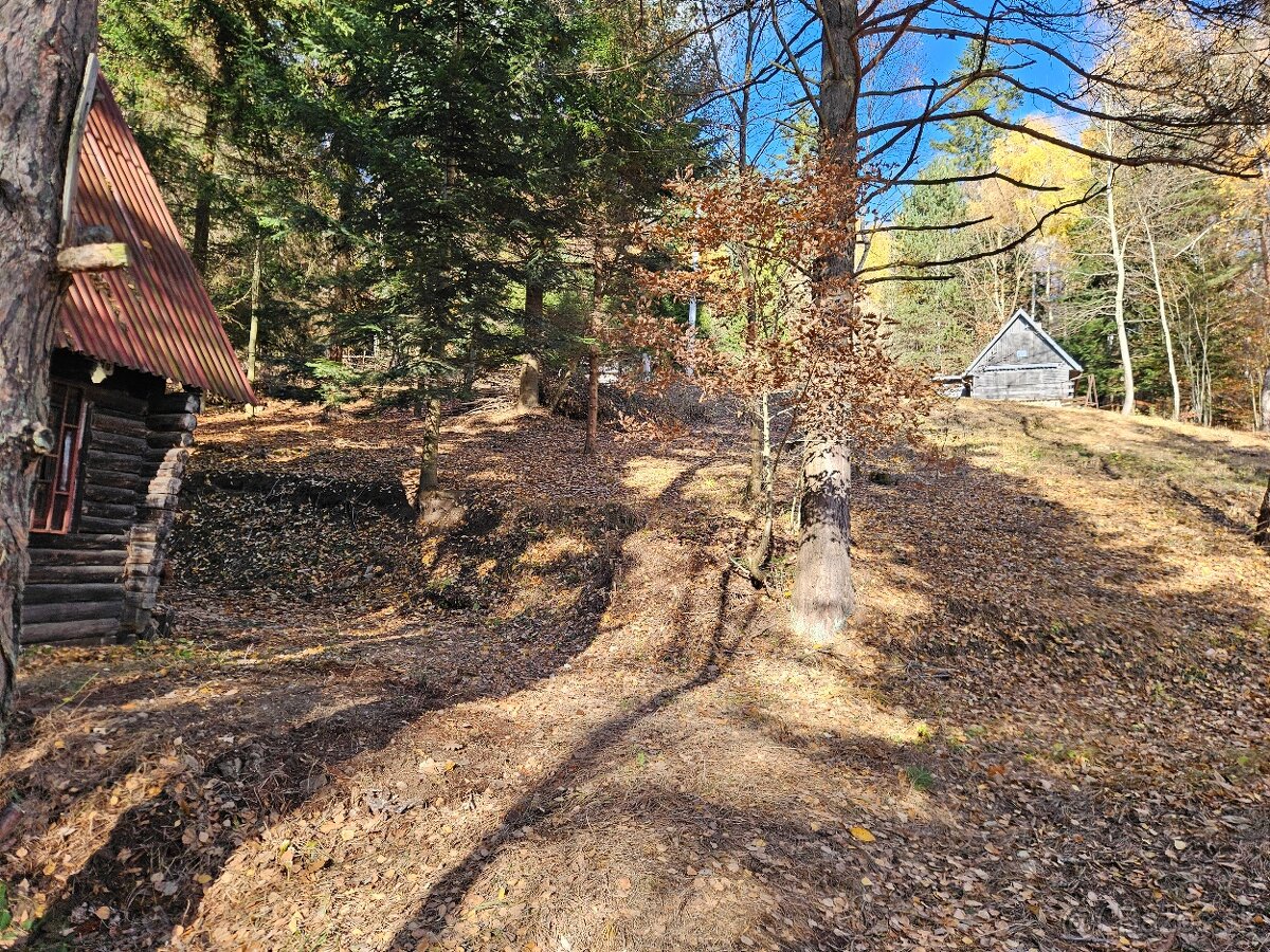 Predam chatu s pozemkom 1978m2 Drienica - 11