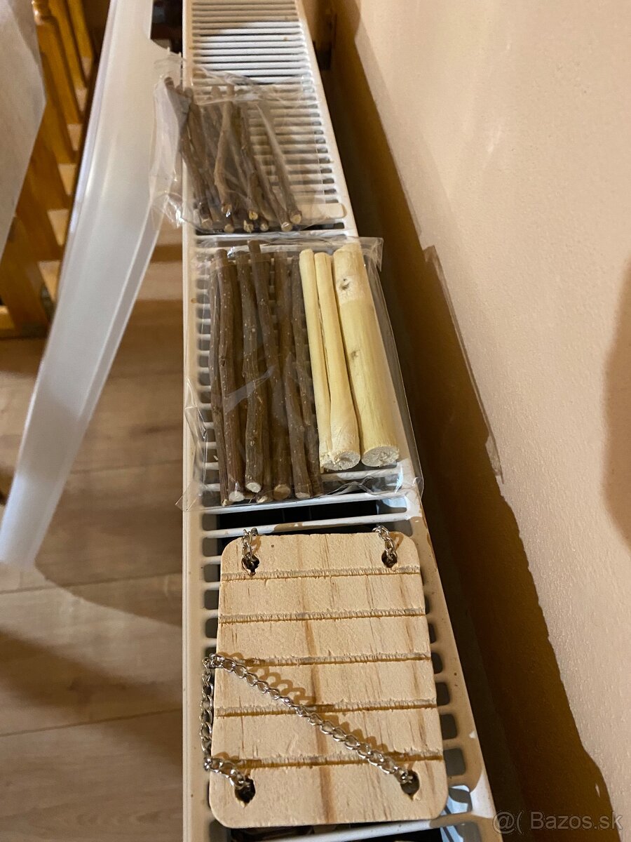 “PREDÁM” 2 sýrskych škrečkov - BRATIA - 11