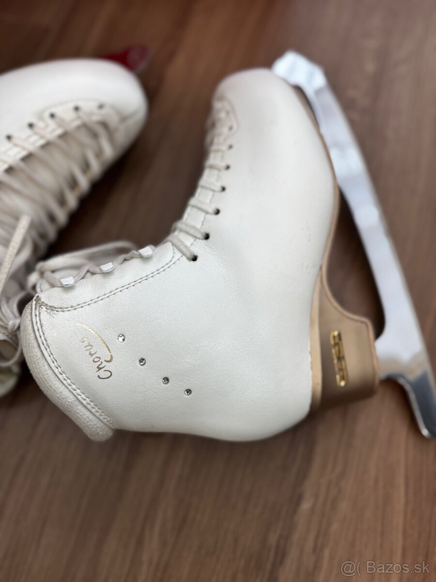 Edea Chorus 235, noze Gold Seal - 11