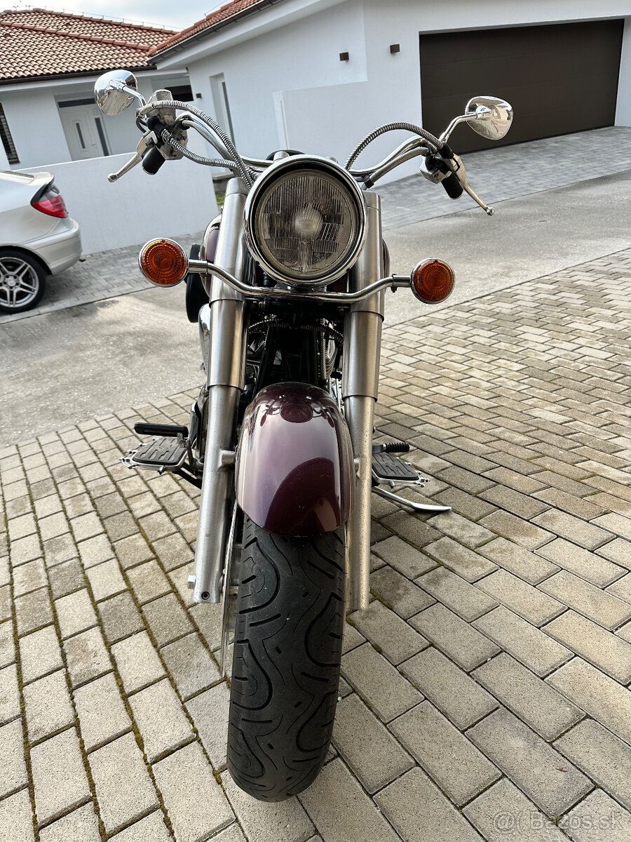 Xv 1600 wild star - 11