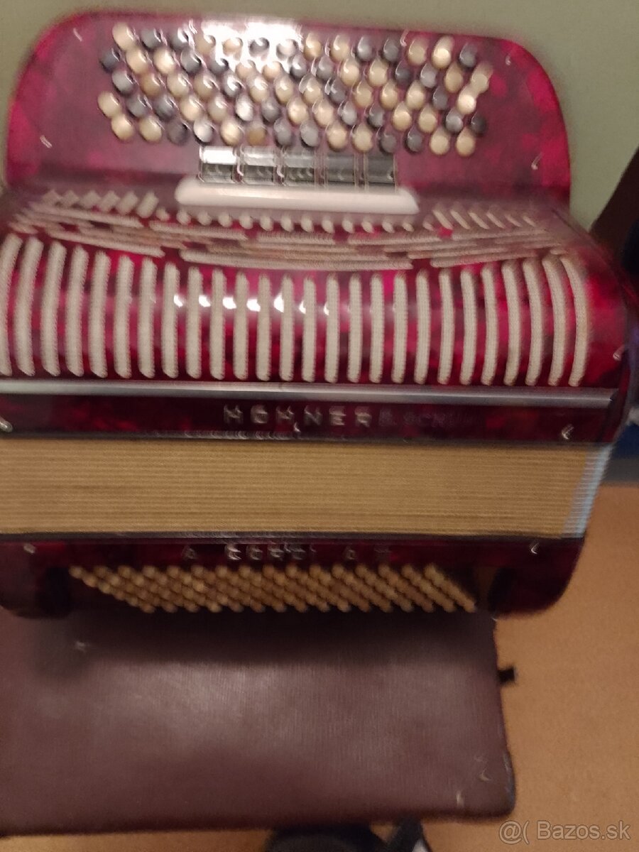 Akordeón,Harmonika, - 11