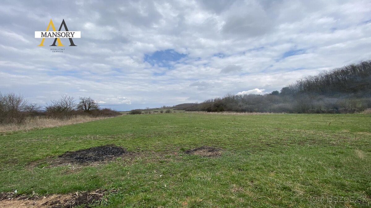 Na predaj 3 izbový rodinný dom na pozemku 2 138 m2 za 60 000 - 11