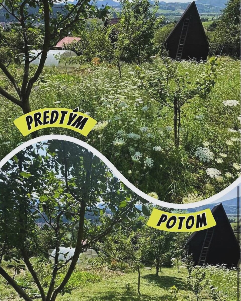 kosenie trávy,strihanie stromčekov- detail Grasscare - 11