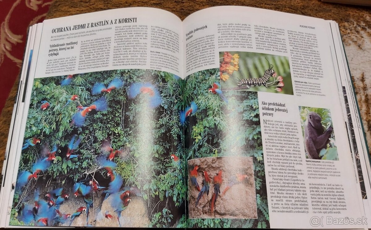 ZVIERATÁ, RASTLINY, RYBÁRSTVO, KUTIL... - 11