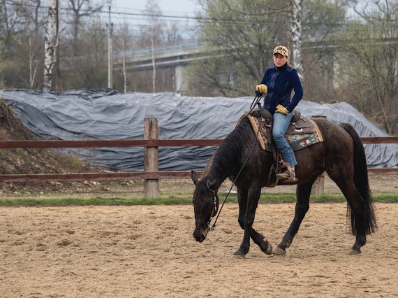 tréning koní - obsadanie - 11